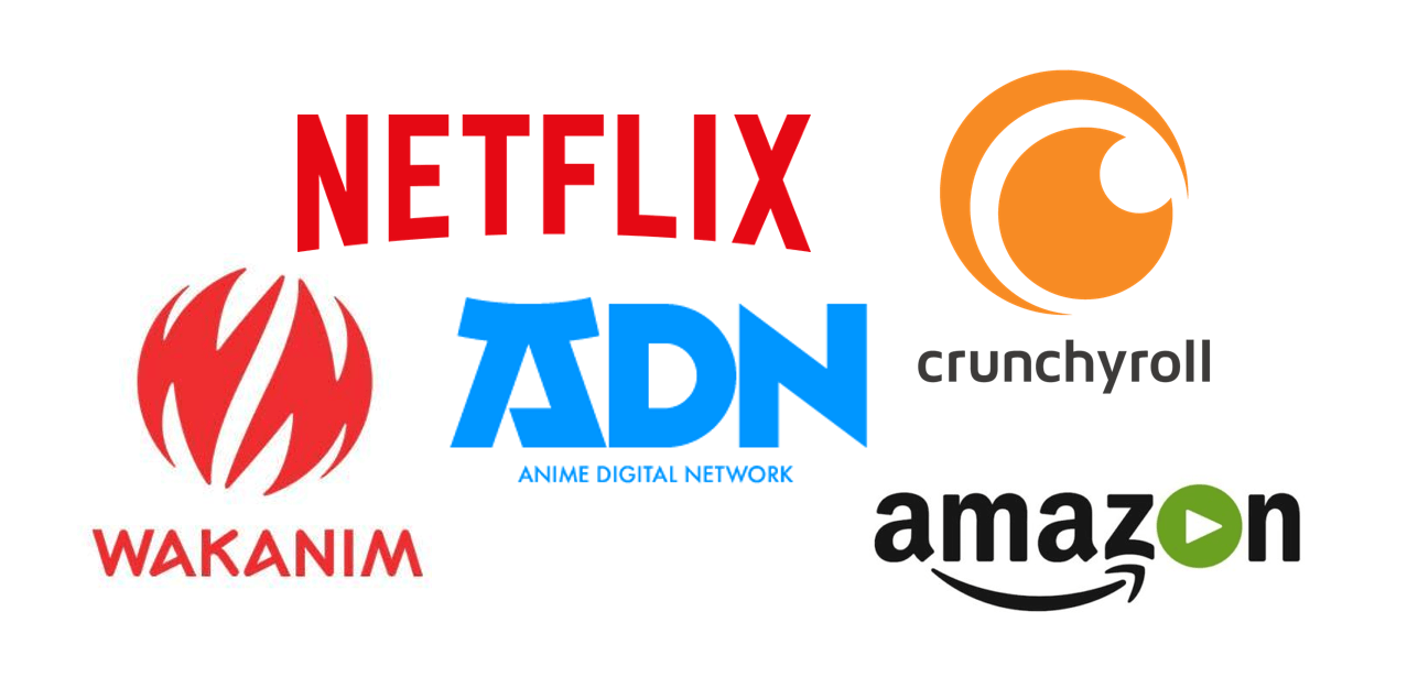 Wakanim, ADN, Crunchyroll, Netflix : quels sont les animés à voir en  simulcast cet été ? - Numerama